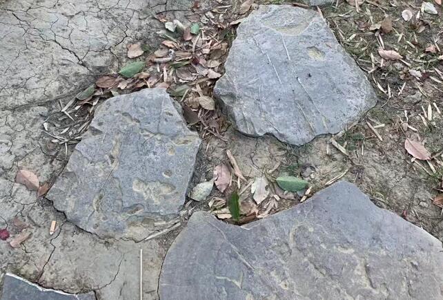 驾校教练和孙潇潇